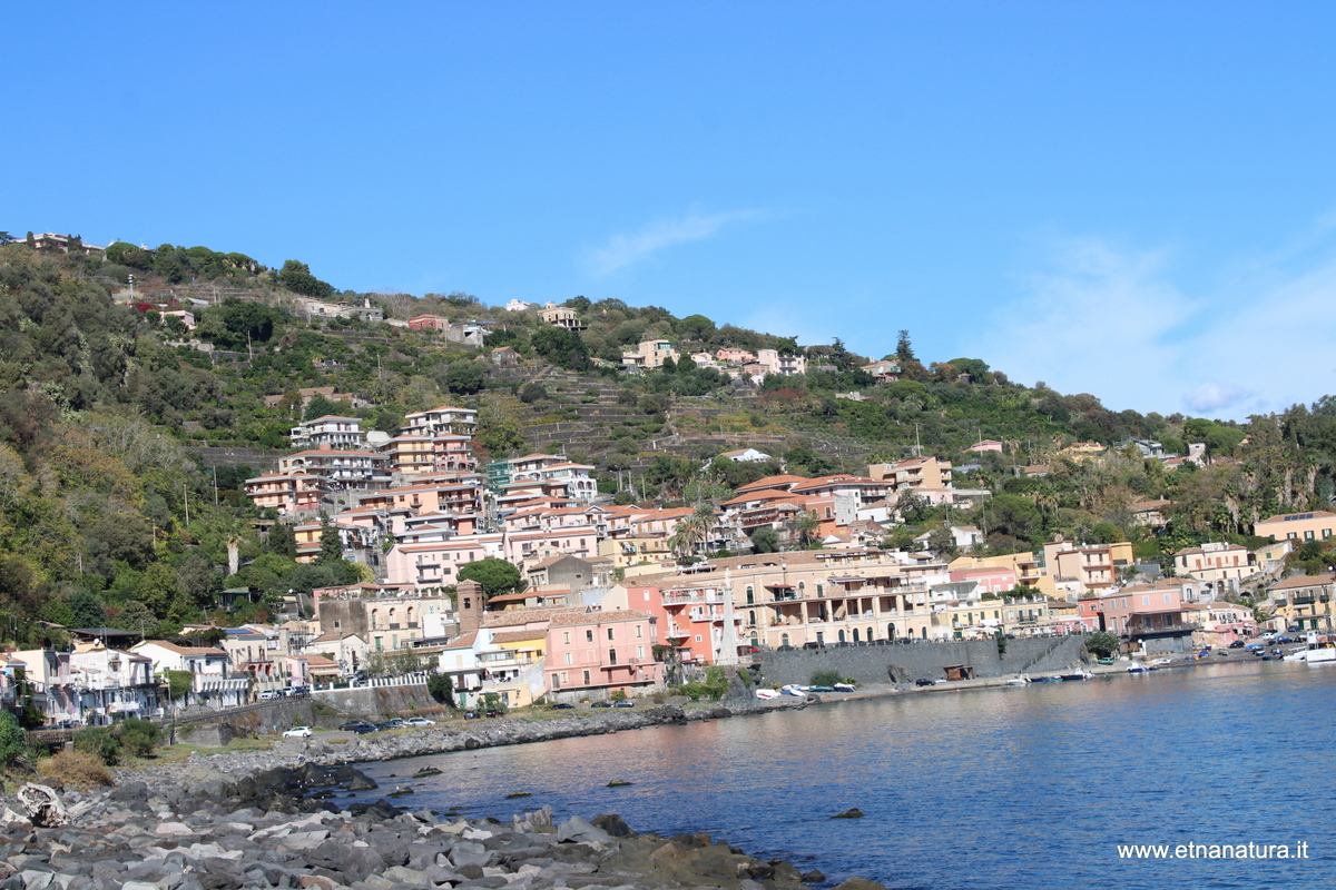 uccio-12-11-2023 10-42-34